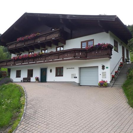 Ferienwohnung Wieser Reizegg 7, 5652 Dienten Dienten am Hochkönig Buitenkant foto